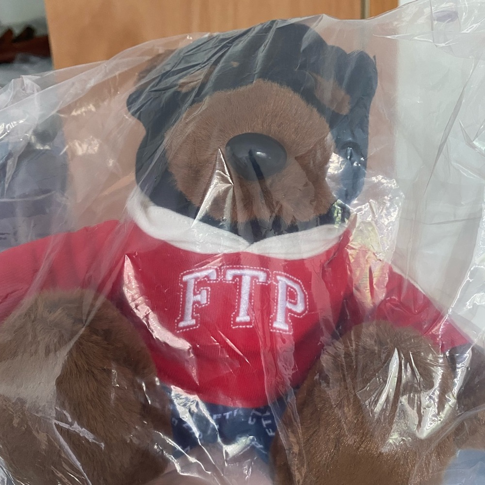 FTP Bear